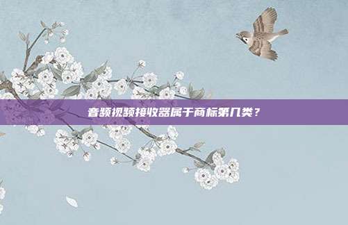 音频视频接收器属于商标第几类？