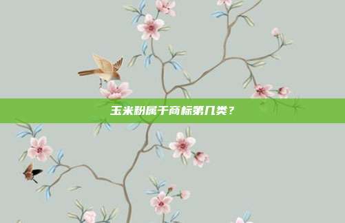玉米粉属于商标第几类？