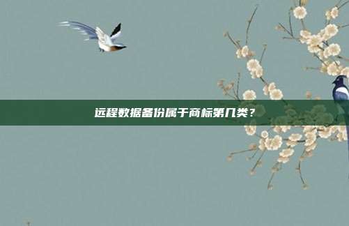 远程数据备份属于商标第几类？