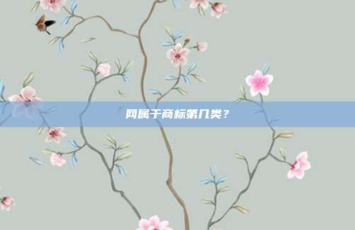 网属于商标第几类？
