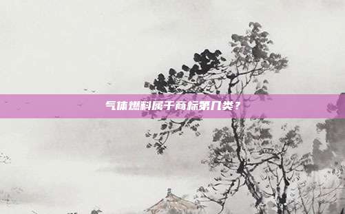 气体燃料属于商标第几类?