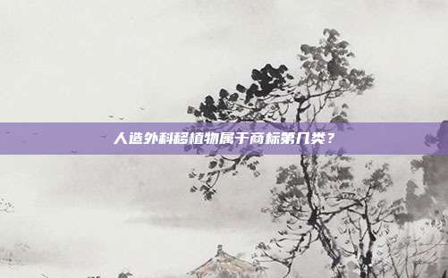 人造外科移植物属于商标第几类？