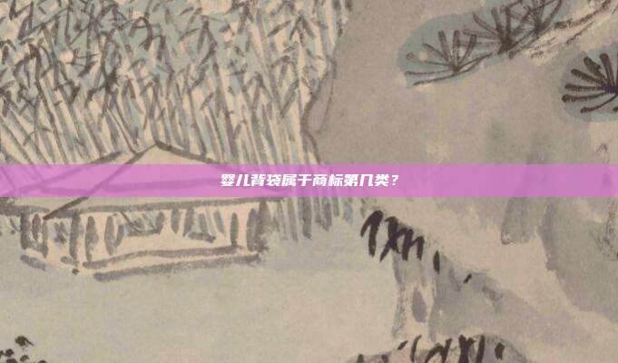 婴儿背袋属于商标第几类？