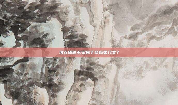 洗衣用晾衣架属于商标第几类?