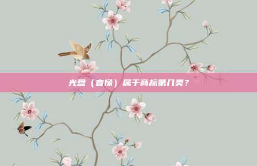 光盘（音像）属于商标第几类？