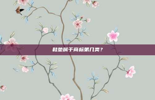 鞋垫属于商标第几类?