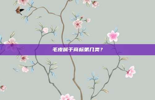 毛皮属于商标第几类？
