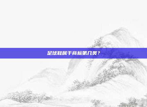 足球鞋属于商标第几类?