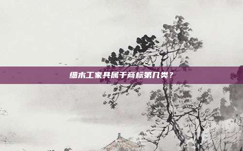 细木工家具属于商标第几类?