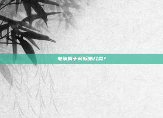 电锁属于商标第几类?