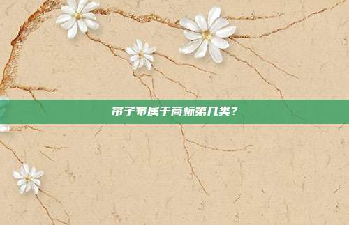 帘子布属于商标第几类?