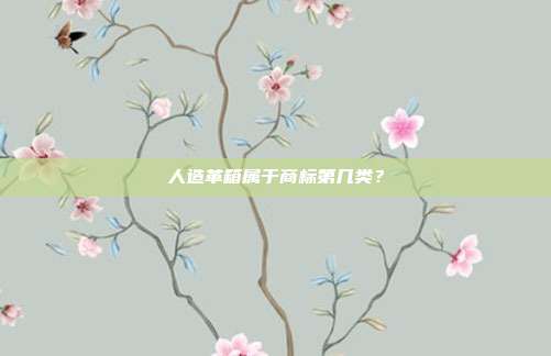 人造革箱属于商标第几类?