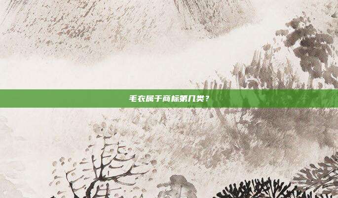 毛衣属于商标第几类?