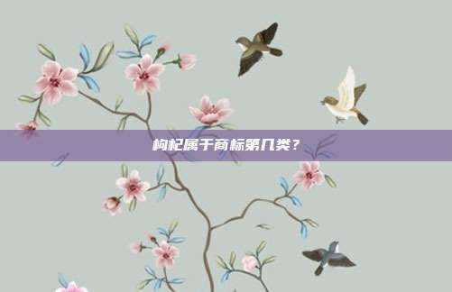 枸杞属于商标第几类?