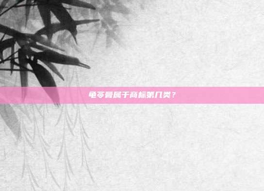 龟苓膏属于商标第几类?