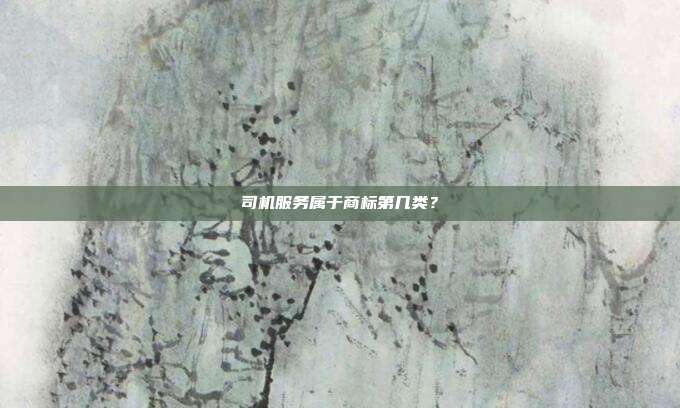 司机服务属于商标第几类?
