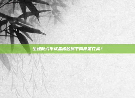 生橡胶或半成品橡胶属于商标第几类?
