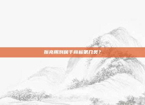 擦亮用剂属于商标第几类?