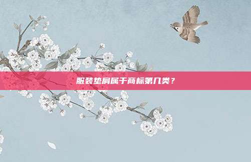服装垫肩属于商标第几类？