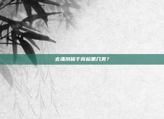 去渍剂属于商标第几类？