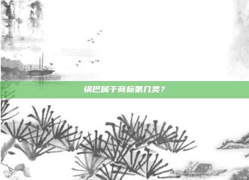 锅巴属于商标第几类？