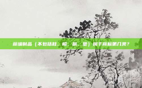 藤编制品（不包括鞋、帽、席、垫）属于商标第几类？