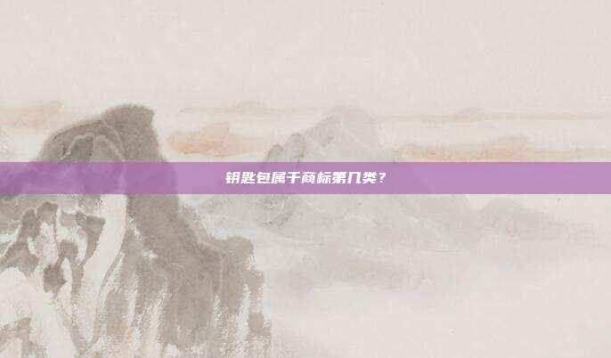 钥匙包属于商标第几类？