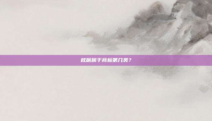 枕席属于商标第几类?