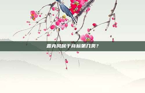 麦克风属于商标第几类？