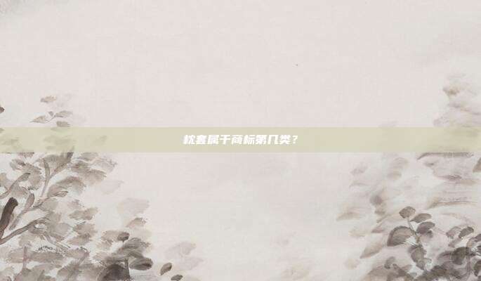 枕套属于商标第几类？