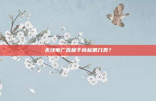无线电广告属于商标第几类？