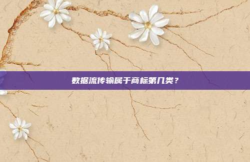 数据流传输属于商标第几类?