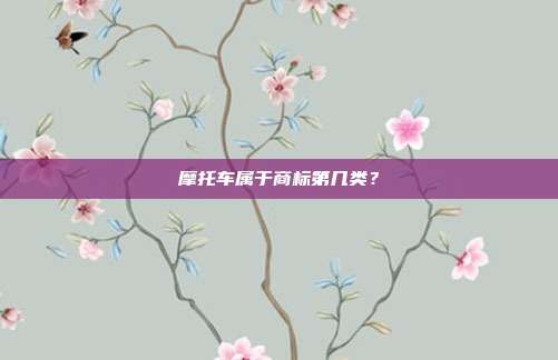 摩托车属于商标第几类？