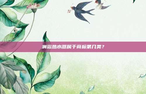 淋浴热水器属于商标第几类?