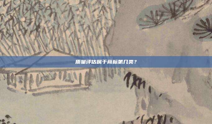 质量评估属于商标第几类?