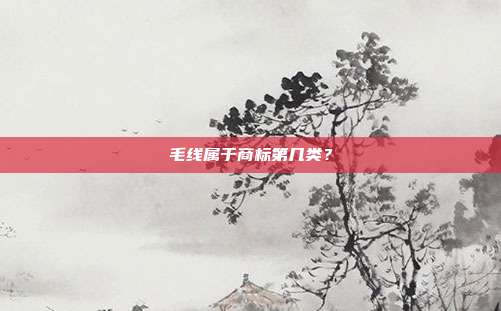 毛线属于商标第几类?