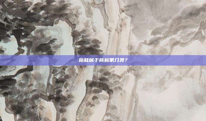 拖鞋属于商标第几类？