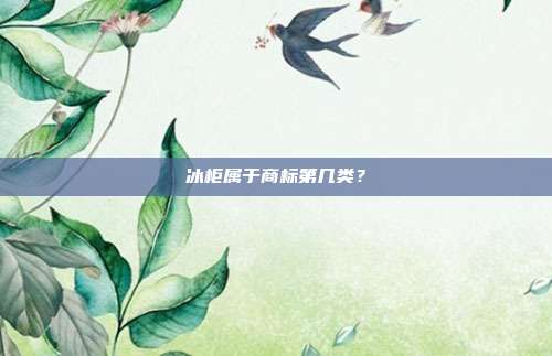 冰柜属于商标第几类?