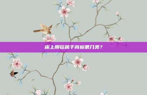 床上用毯属于商标第几类?
