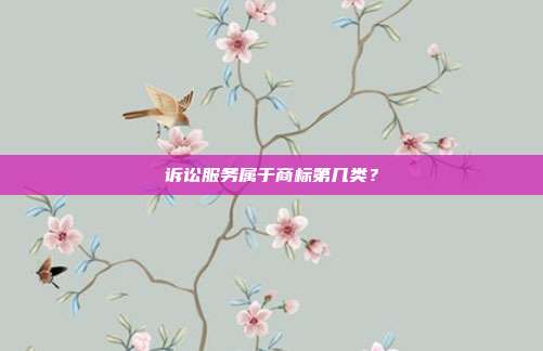 诉讼服务属于商标第几类?