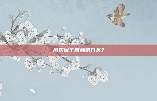 风衣属于商标第几类？