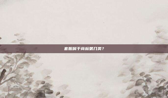 套服属于商标第几类?