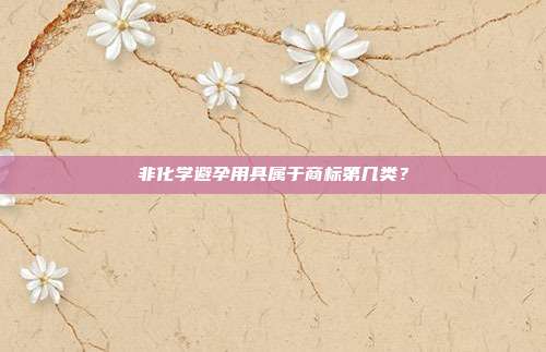 非化学避孕用具属于商标第几类?