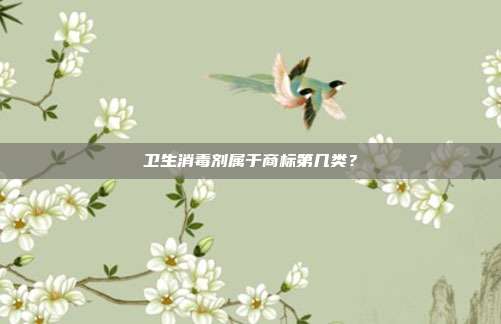 卫生消毒剂属于商标第几类？