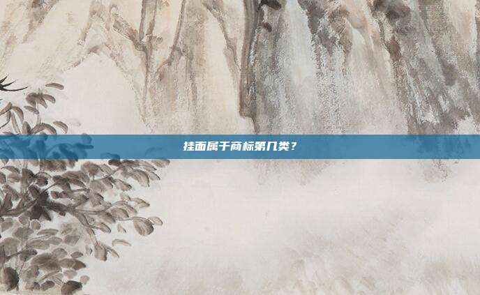 挂面属于商标第几类？