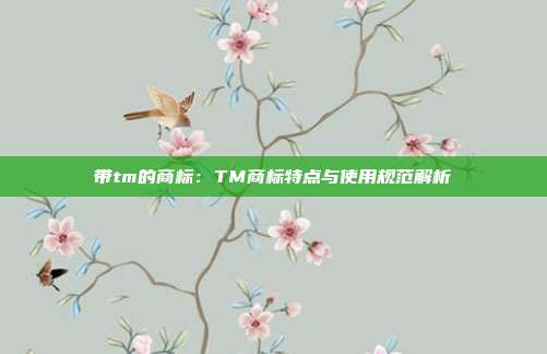 带tm的商标:TM商标特点与使用规范解析