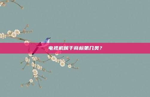 电视机属于商标第几类？