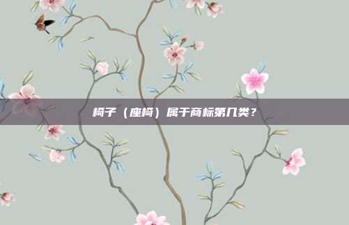 椅子（座椅）属于商标第几类？