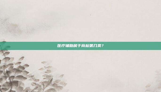 医疗辅助属于商标第几类？