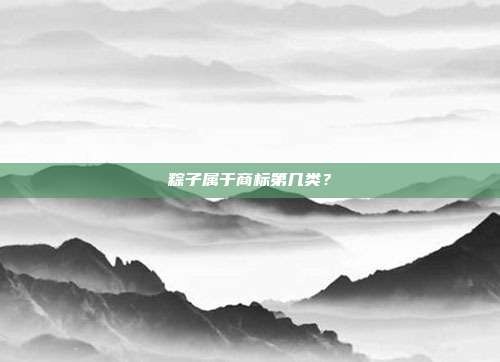 粽子属于商标第几类？